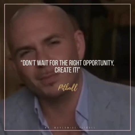 Pitbull Rapper Quotes