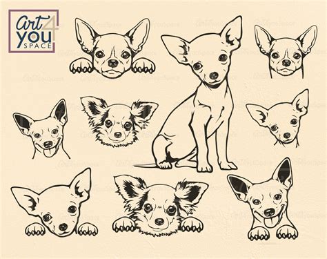 Art Stand Clipart Transparent Png Hd Standing Chihuahua Clip Art