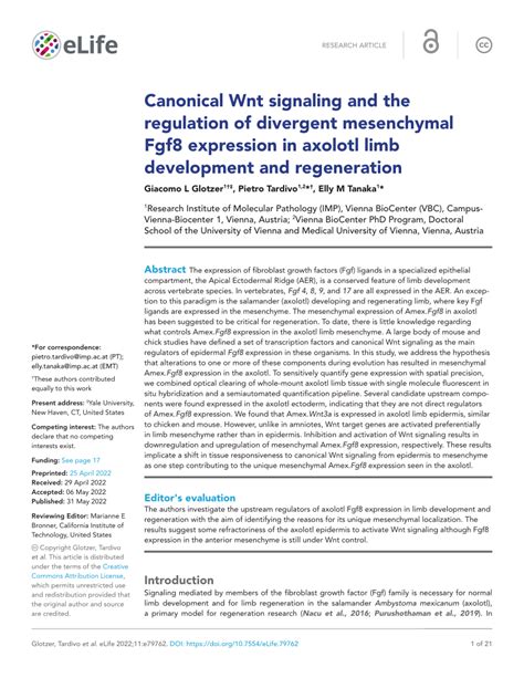 Pdf Canonical Wnt Signaling And The Regulation Of Divergent