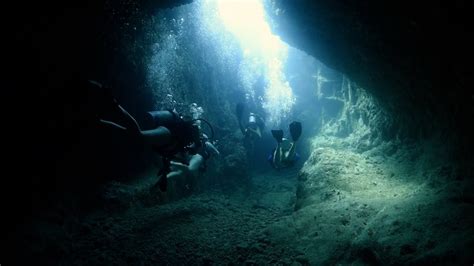 What Does Diving In The British Virgin Islands Look Like Take A Look