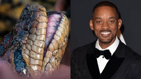 Nova espécie de anaconda é descoberta em gravação de série Will Smith