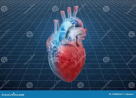 Visualization 3d Cad Model of Human Heart, 3D Rendering Stock ...