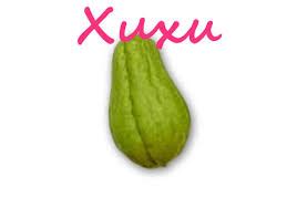 ≫ Cómo plantar Xuxu | Como-plantar.org