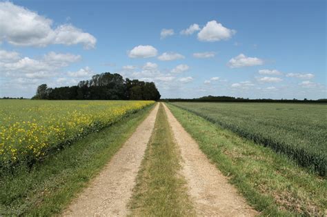 Farm Track On Billingborough Fen J Hannan Briggs Cc By Sa