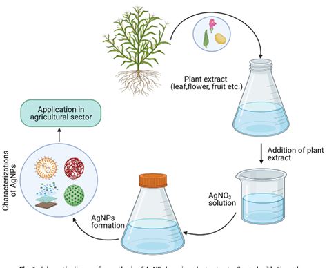 Figure From Plant Based Green Synthesis Of Silver Nanoparticles And