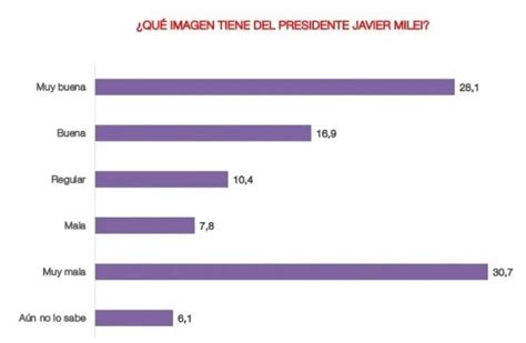 Encuesta Sobre Imagen De Milei Y Los Principales Dirigentes Opositores