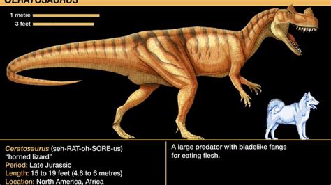 Ceratosaurus Dinosaur Britannica