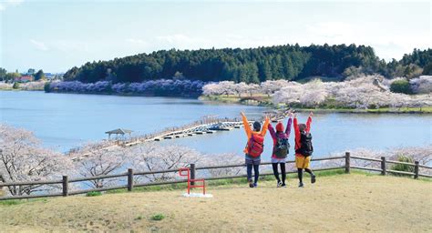 宮城オルレの楽しみ方 宮城オルレ 見て、歩いて、体験する。