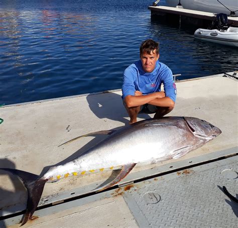 Quick Guide Albacore Vs Yellowfin Tuna Toms Catch Blog