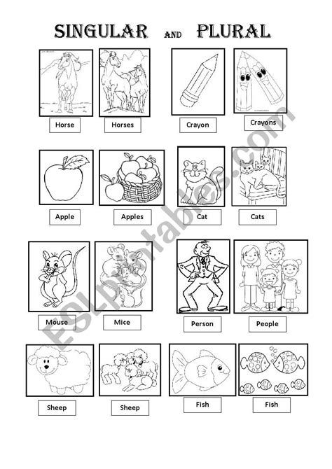 Singular And Plural Esl Worksheet By Alicefriz