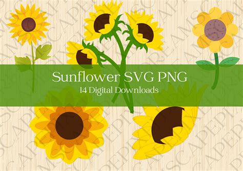 Sunflower Svg Bundle Sunflower Svg Cut File Cricut Half Sunflower Png Flower Svg Flower Png