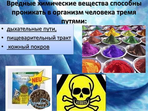 Химически вредные вещества и их влияние на организм человека ...