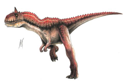 Carnotaurus Pictures & Facts - The Dinosaur Database