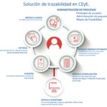 La Trazabilidad De Ceye Qu Es Y Por Qu Es Tan Importante En Los