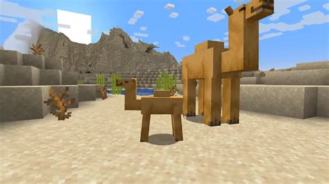 Minecraft Camel Everything We Know About This Creature Minecraft Tutos