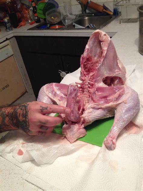 Turkey Dick Knob Gobbler I Dont Know Imgur