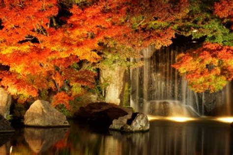 ライトアップされる紅葉を楽しもう！関東で絶景のオススメ5選