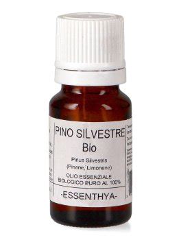 Pino Silvestre Bio Olio Essenziale Puro Ml Di Essenthya Oli