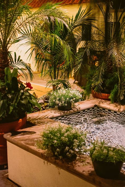 roger williams botanical garden 1