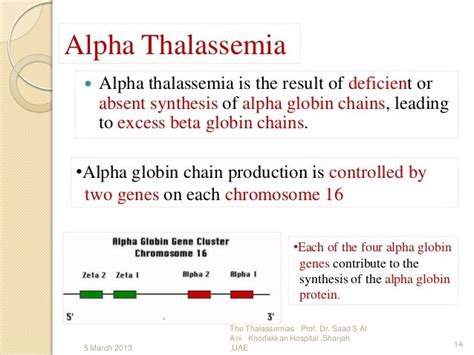 The Thalassemias