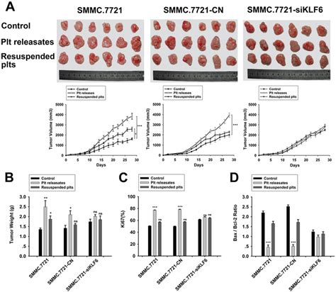 Effect Of Platelets On Smmc 7721 Tumor Growth In Vivo A Smmc 7721 Download Scientific