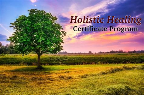 2 Year Holistic Healing Certificate Program