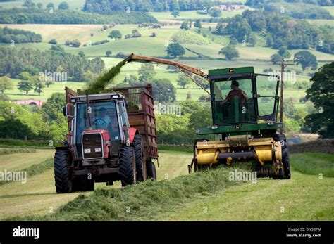 Harvesting grass to make silage for winter livestock feed Stock Photo ...