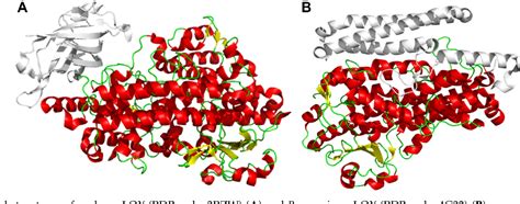 Figure From The N Terminal Helix Domain Of Pseudomonas Aeruginosa