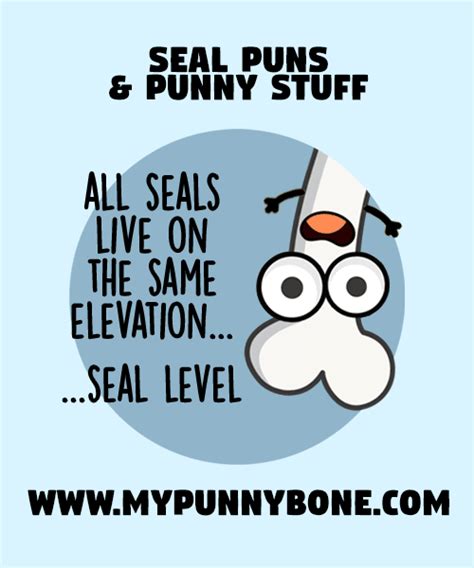 60 Funny Seal Puns And Jokes That Are Flippin Seally Mypunnybone