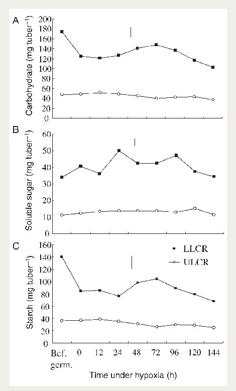 Total Carbohydrate A Soluble Sugar B And Starch Content C In