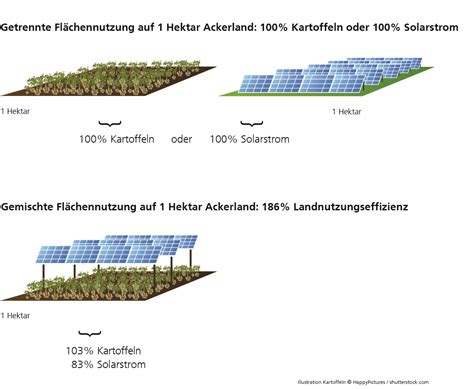 Agri Photovoltaik Unten Photosynthese Oben Photovoltaik