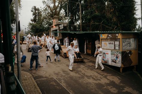 Madeira Toboggan Ride on Wicker Basket Sledges — Liquid Grain