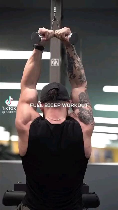 Bicep Workout Artofit