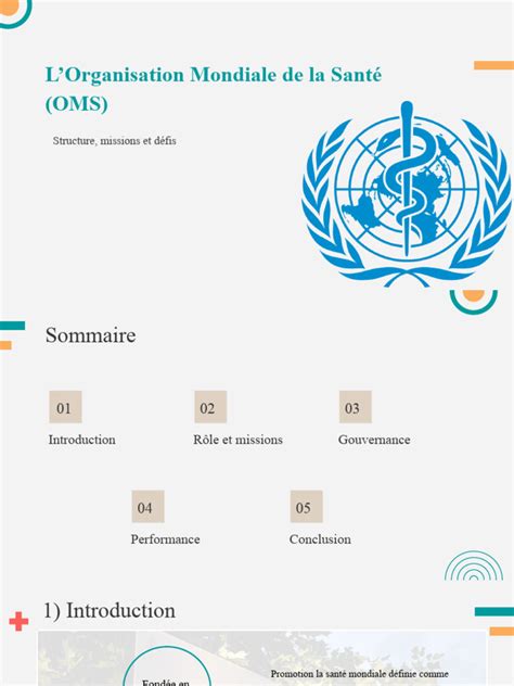 Lorganisation Mondiale De La Santé Oms Structure Missions Et