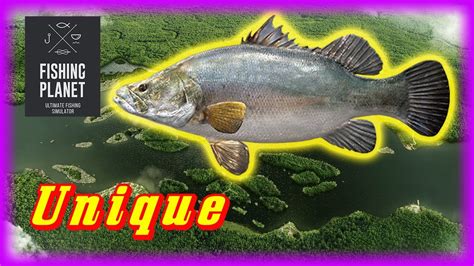 Perca Del Nilo Nica Trucos R O Congo Fishing Planet Youtube