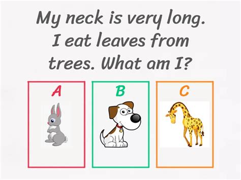 Animal's riddles - Quiz