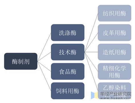 2023年中国酶制剂行业供需现状及竞争格局分析，海外公司占据主导地位「图」华经情报网华经产业研究院