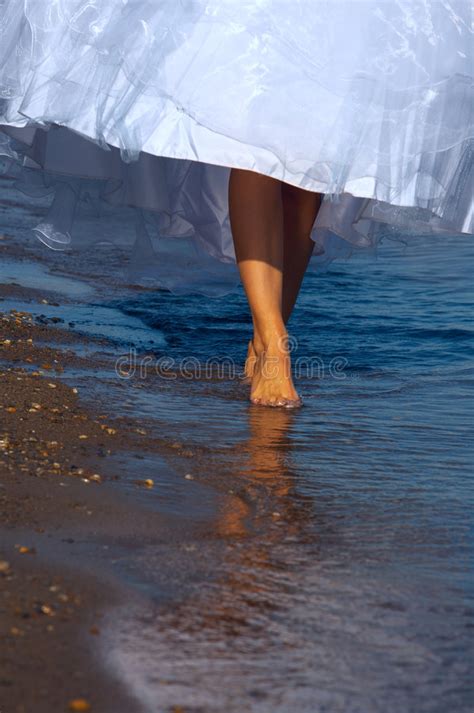 Bride On Sea Shore Stock Image Image Of Looking Marriage 19281295