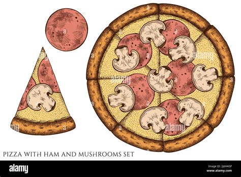 Pizza Hand Drawn Vector Illustrations Collection Colored Pizza With