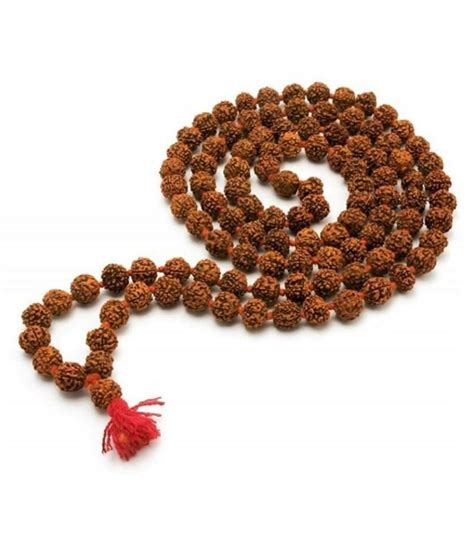 Mukhi Rudraksha Nepal Face Rudraksha Buy Mukhi Rudraksha