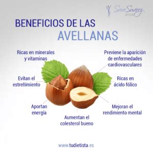 Beneficios De Las Avellanas