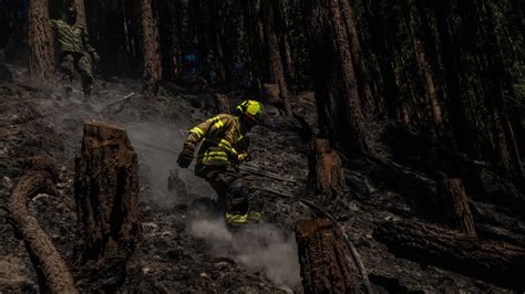 Lo Que Hay Que Saber De Los Incendios Forestales Azotan Colombia The