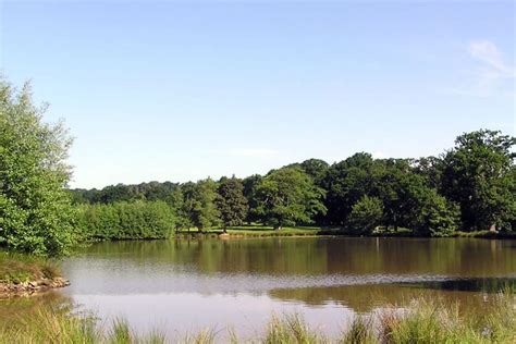 Petworth Park, West Sussex | Fishery Guide