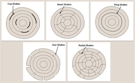 Top 11 Common Wood Defects to Avoid for Wholesaler