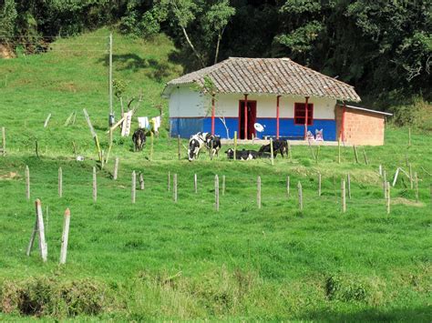 12 ideas de casas rústicas para rancho Casas Rusticas