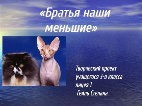 Братья наши меньшие - презентация онлайн