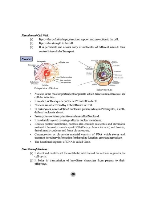 Fundamental Unit Of Life Cell Notes For Class 9 Science PDF OneEdu24