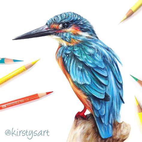 Kingfisher Bird Drawing Using Coloured Pencils I Loved Working On