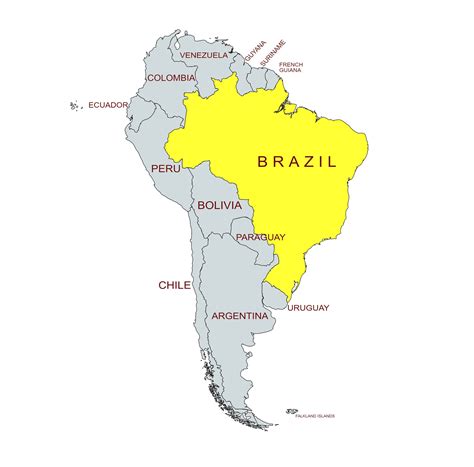 Brazil Export Panel– Lodi Wine Labs