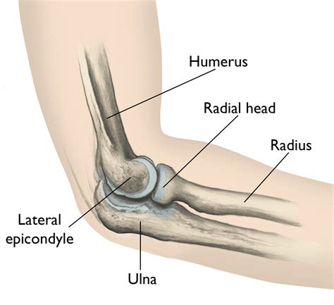 RADIAL HEAD FRACTURES - Midwest Bone and Joint Center